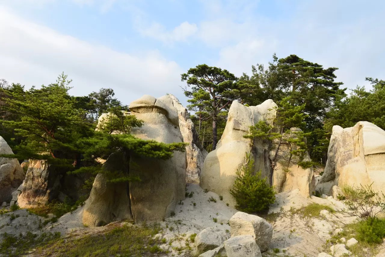 🏞️ 정토송 공원(조도마츠 코엔)